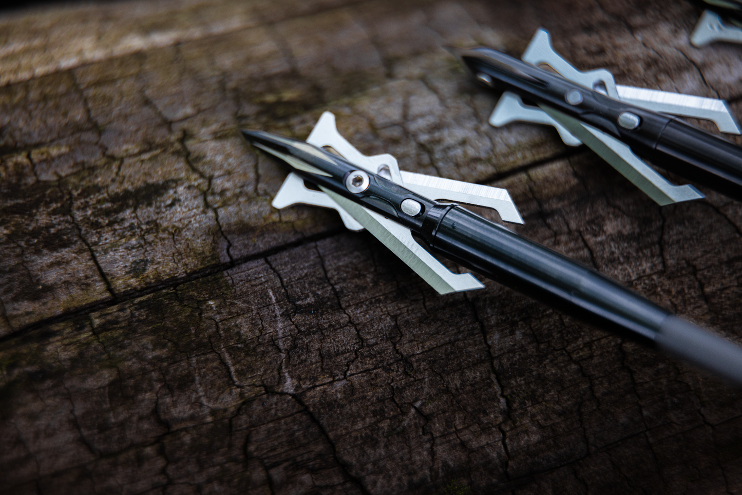Titanium 100