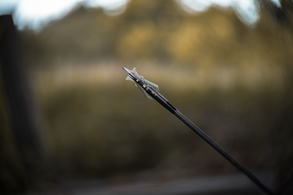Titanium 100